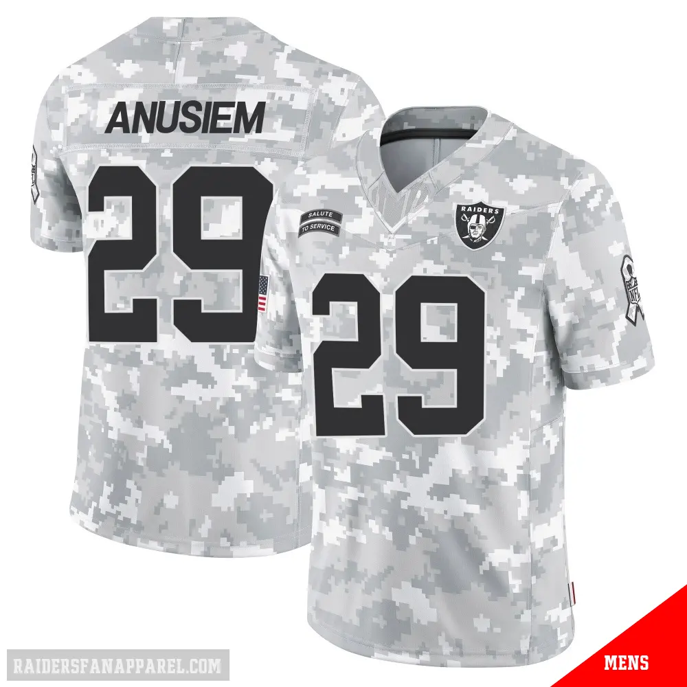＃29 Men's Chigozie Anusiem Arctic Camo Limited Las Vegas Raiders 2024 Salute to Service Jersey